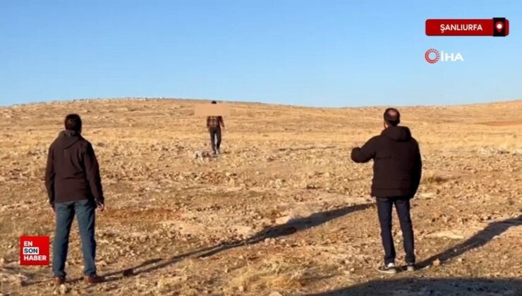 Şanlıurfa’da bir terörist daha teslim oldu