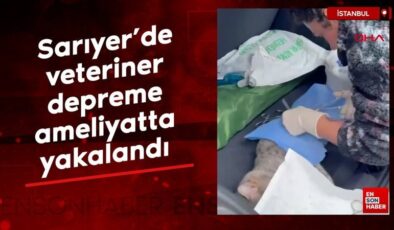 Sarıyer’de veteriner depreme ameliyatta yakalandı