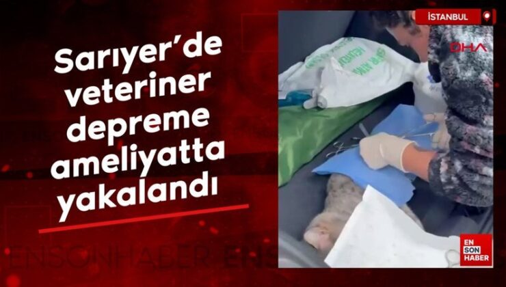 Sarıyer’de veteriner depreme ameliyatta yakalandı