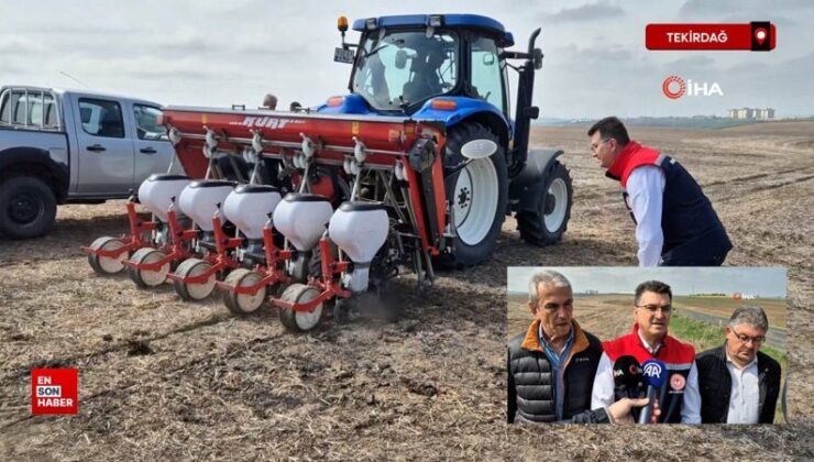 Tekirdağ’da anıza ekim dönemi: Anıza ekim Türkiye’ye örnek olacak