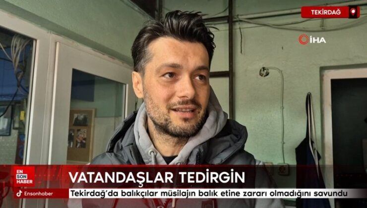 Tekirdağ’da balıkçılar müsilajın balık etine zararı olmadığını savundu