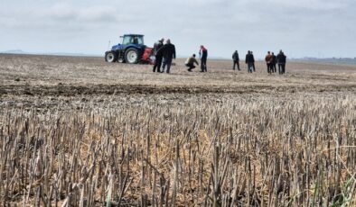 Tekirdağ’da başlayan anıza ayçiçeği ekimi, Türkiye’ye örnek olmaya aday