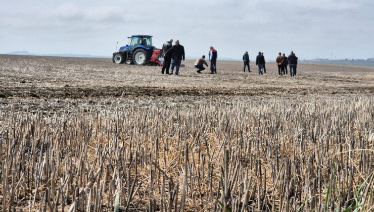 Tekirdağ’da başlayan anıza ayçiçeği ekimi, Türkiye’ye örnek olmaya aday