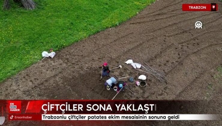 Trabzonlu çiftçiler patates ekim mesaisinin sonuna geldi