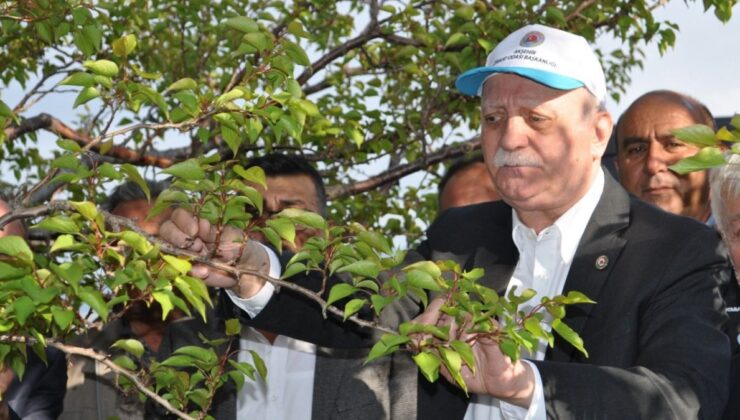 TZOB Genel Başkanı Şemsi Bayraktar: Mülteciler olmasa tarımda işçi bulamayacağız