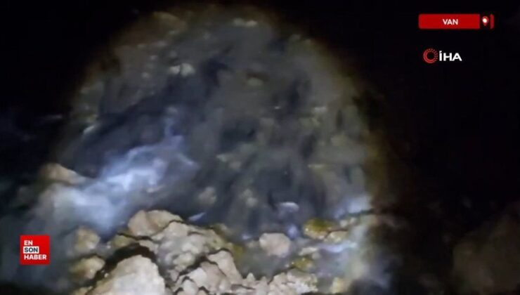 Van’da inci kefali göçü başladı: 60 kilo balığa el konuldu