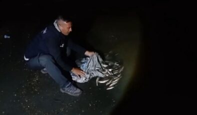 Van’da kaçak avlanan 60 kilo inci kefali ele geçirildi