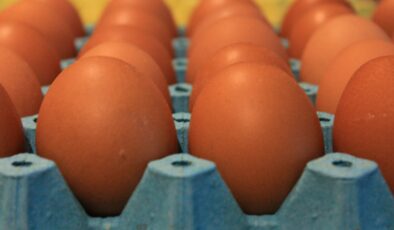 Yumurta fiyatları düşüşe geçti
