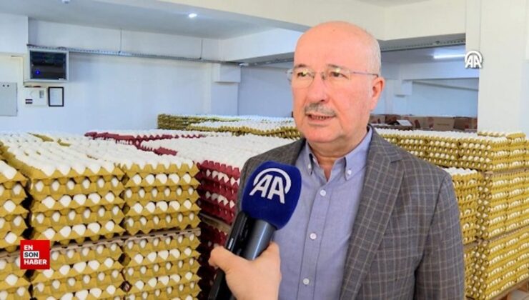 Yumurtada ihracat süreçleri ve fon kesintisi kararları fiyatları aşağı çekti