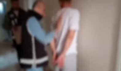 4 vilayette 6 başka organize hata örgütüne yönelik operasyon