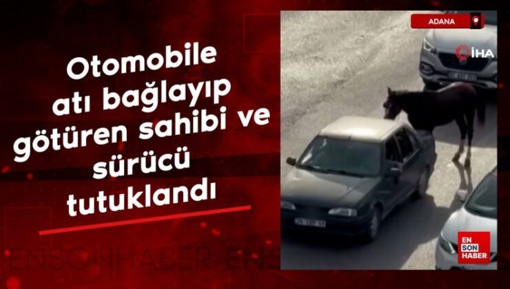 Adana’da arabaya atı bağlayıp götüren sahibi ve şoför tutuklandı