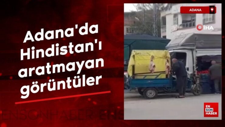 Adana’da Hindistan’ı aratmayan imgelere reaksiyon yağdı