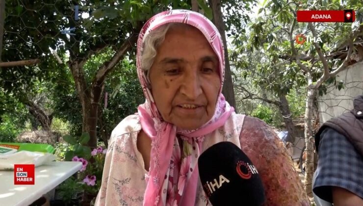 Adana’da kolu şişti, bedenine kadar yara oldu