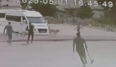 Adana’da sokak köpeklerinin çocuğa saldırısı kamerada