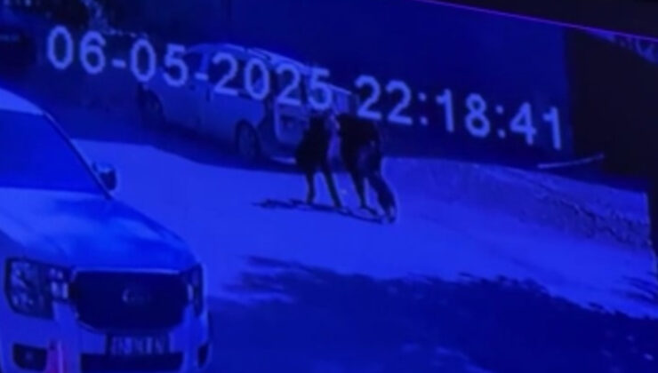 Adıyaman’da sahipli köpek, genç kıza saldırdı