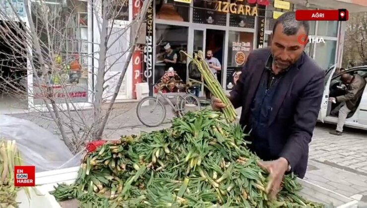 Ağrı Diyadin’de baharın müjdecisi ışkın ve çiriş tezgahları süslüyor
