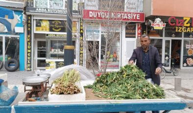Ağrı’da baharın müjdecisi ışkın ve çiriş tezgahları süslüyor