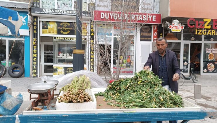 Ağrı’da baharın müjdecisi ışkın ve çiriş tezgahları süslüyor