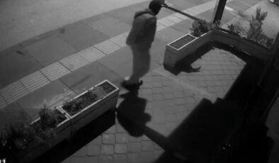 Ankara’da kedi hırsızlığı görüntülendi