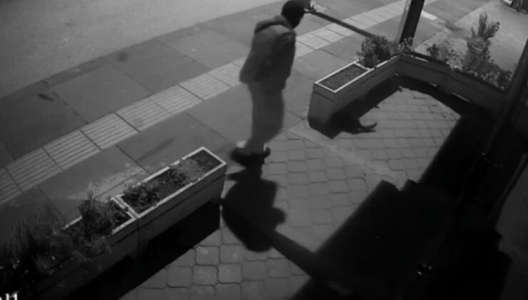 Ankara’da kedi hırsızlığı görüntülendi