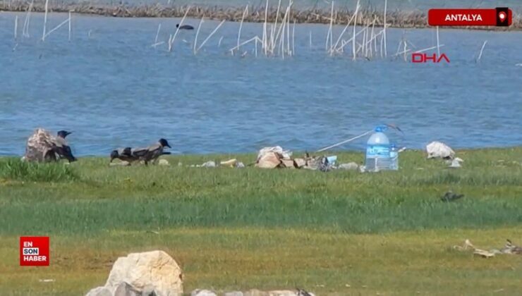 Antalya’da Eğrigöl Yaylası’nda birinci kere çiçekler açmadı