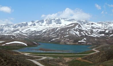 Antalya’da Eğrigöl Yaylası’nda birinci kez çiçekler açmadı