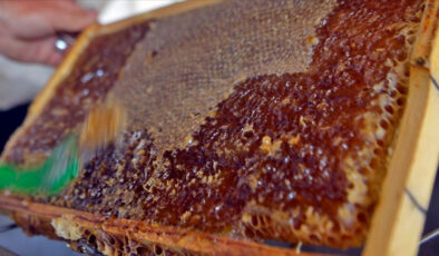 Ardahan Çiçek Balı’nın AB coğrafik işaret başvurusu için protokol imzalandı