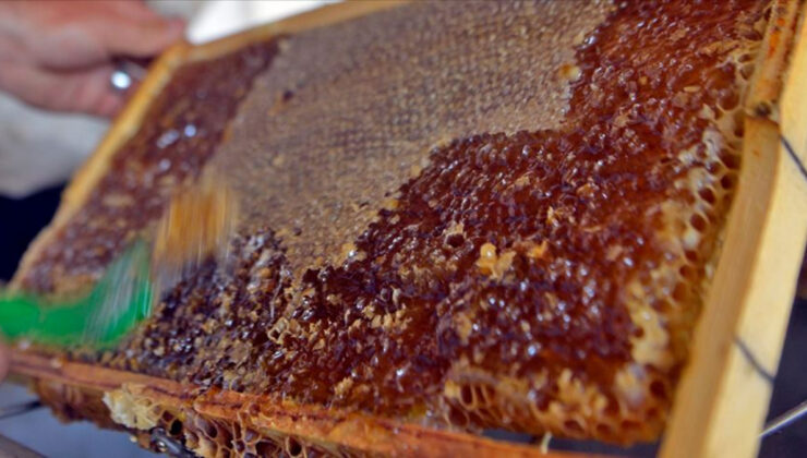 Ardahan Çiçek Balı’nın AB coğrafik işaret başvurusu için protokol imzalandı