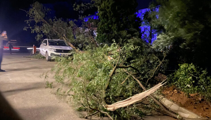Artvin’de tesirli olan fırtına, hayatı olumsuz etkiledi