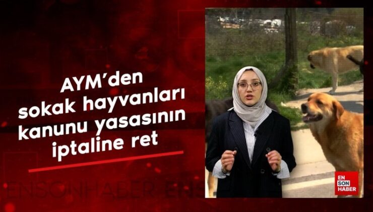 AYM’den sokak hayvanları kanunu yasasının iptaline ret