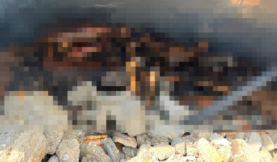 Balıkesir’de ağılda çıkan yangında 42 küçükbaş telef oldu