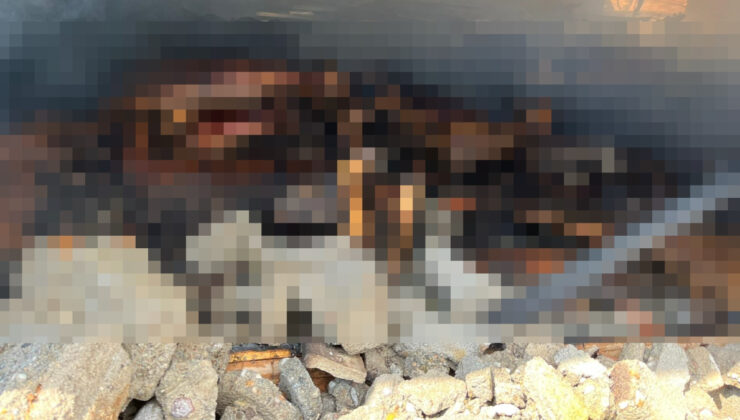 Balıkesir’de ağılda çıkan yangında 42 küçükbaş telef oldu