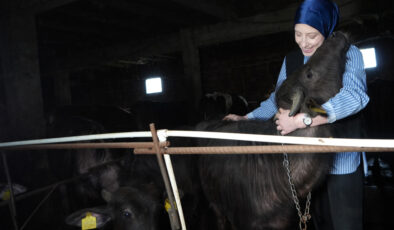 Bayburt’ta devlet takviyesiyle köyün tek bayan manda yetiştiricisi oldu