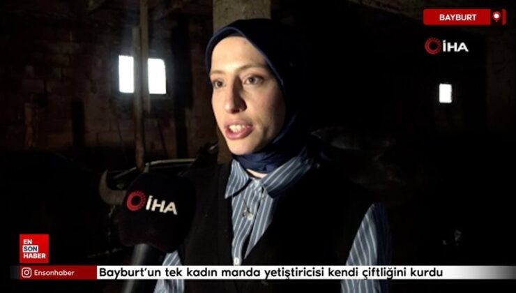 Bayburt’un tek bayan manda yetiştiricisi devlet takviyesiyle kendi çiftliğini kurdu
