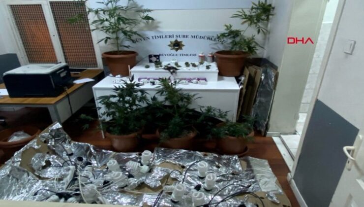 Beyoğlu’nda kiraladıkları daireye uyuşturucu serası kuran 2 kuşkulu yakalandı