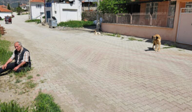 Burdur’da köpeklerin saldırısına uğrayan adam, yaralandı