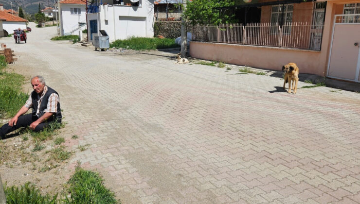Burdur’da köpeklerin saldırısına uğrayan adam, yaralandı