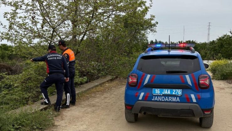 Bursa’da kaçak avcılık operasyonu