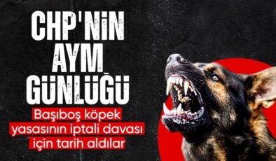 CHP başvurmuştu: AYM başıboş köpek yasasını asıldan inceleyecek