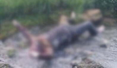 Denizli’de cezaevi firarisi derede meyyit bulundu