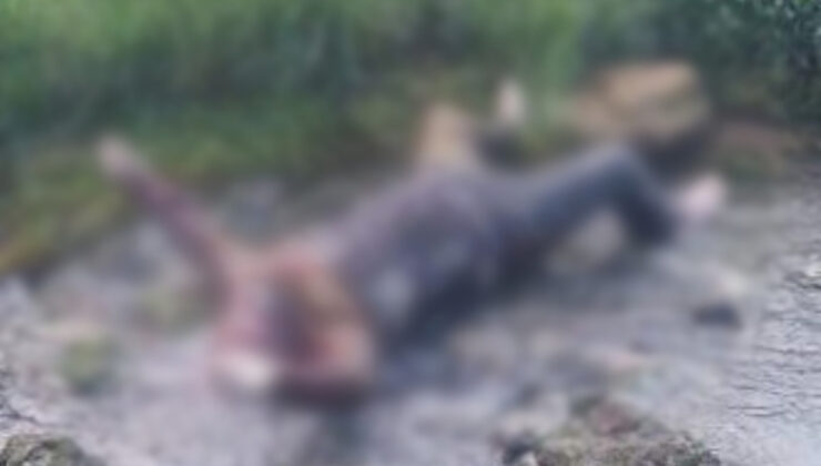 Denizli’de cezaevi firarisi derede meyyit bulundu