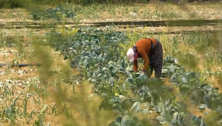 Devletin tarım yerlerine el koyacağı savı gerçeği yansıtmıyor