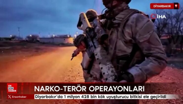 Diyarbakır’da 1 milyon 428 bin kök uyuşturucu bitkisi ele geçirildi
