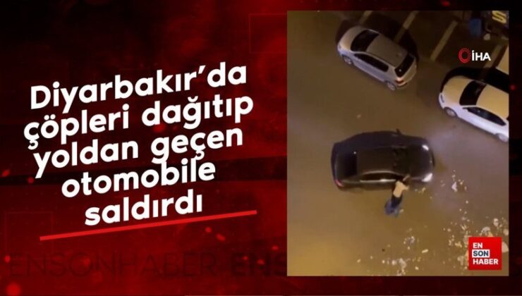 Diyarbakır’da çöpleri dağıtıp yoldan geçen arabaya saldırdı