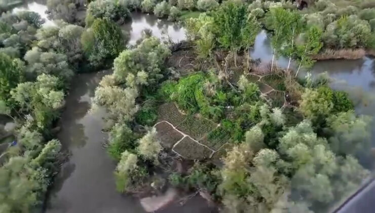 Diyarbakır’da uyuşturucu operasyonu: Yüklü ölçüde Hint keneviri ele geçirildi