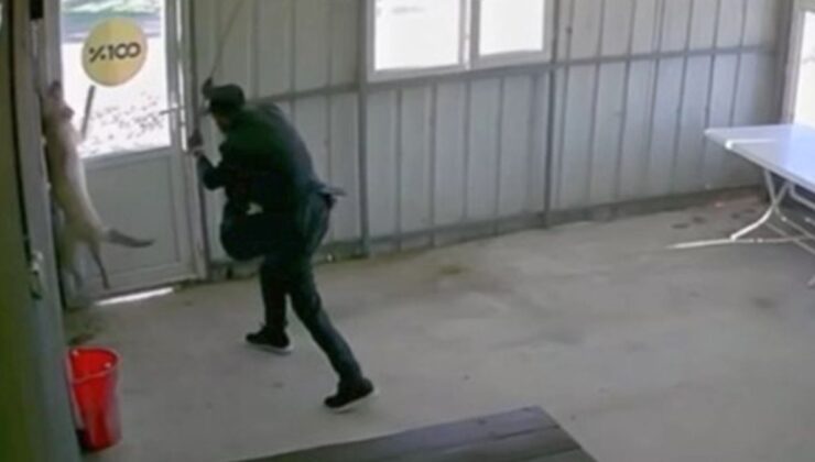 Edirne’de köpeği bastonla döven 81 yaşındaki şahıs gözaltına alındı