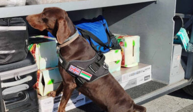 Edirne’de sonda beyan edilmemiş 351 bin euro yakalandı