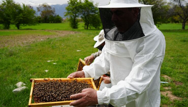 Erzincan’da arıcılar, yeni döneme hazırlanıyor