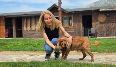 Hatay’da 3 aydır kayıp köpeği Çilek’i ağaca bağlı halde buldu