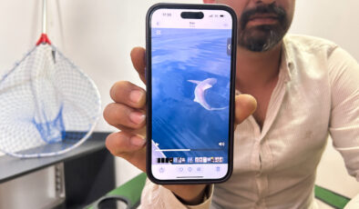 Hatay’da oltaya köpek balığı takılınca kurtulmak için çabaladılar